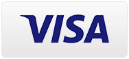 Visa Logo