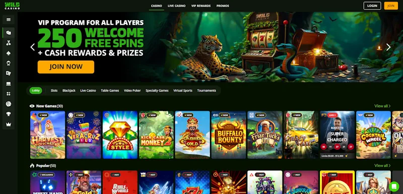 Wild Casino screenshot