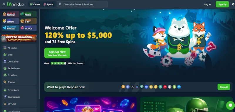 Wild.io Casino screenshot