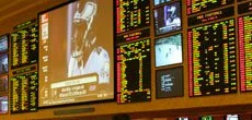 Sportsbook