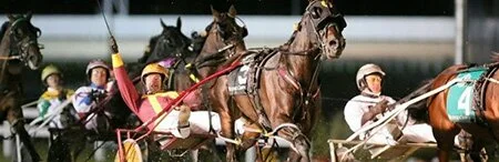 The Breeders Crown