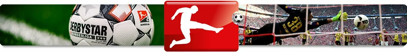 Bundesliga Soccer Ball, Bundesliga Logo, Goalie Missing Save