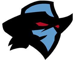 Dallas Renegades Logo