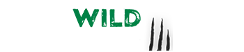 Wild Casino Logo