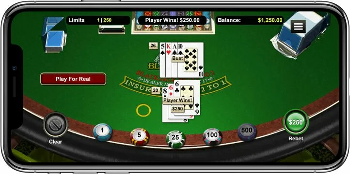 Blackjack Online on iPhone