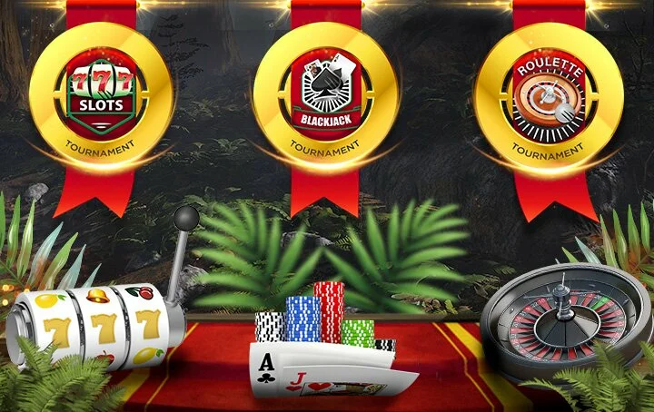 Wild Casino Bonus Graphic